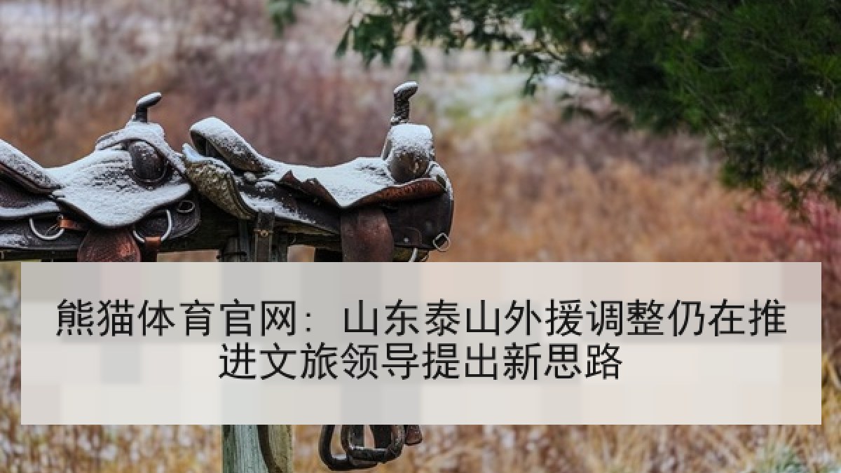 熊猫体育官网: 山东泰山外援调整仍在推进文旅领导提出新思路