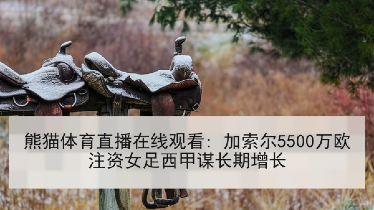 熊猫体育直播在线观看: 加索尔5500万欧注资女足西甲谋长期增长