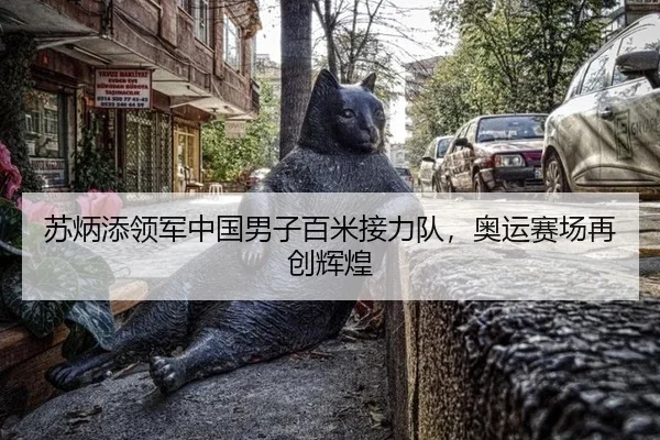 苏炳添领军中国男子百米接力队，奥运赛场再创辉煌