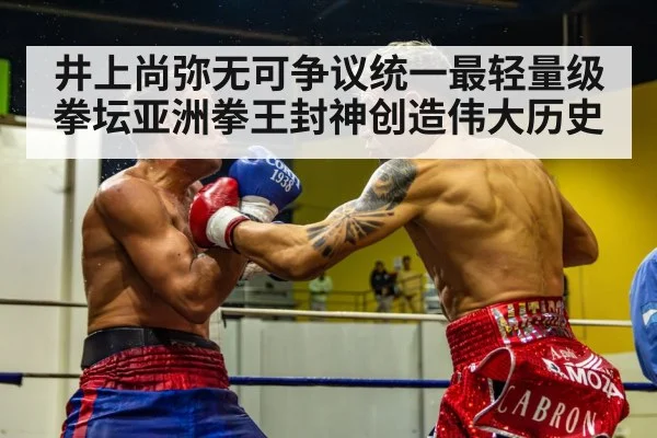 boxing fight action